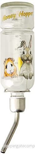 Trixie 60446 Honung & Hopper små djurbad, glas, 250 ml, medium 4011905604466
