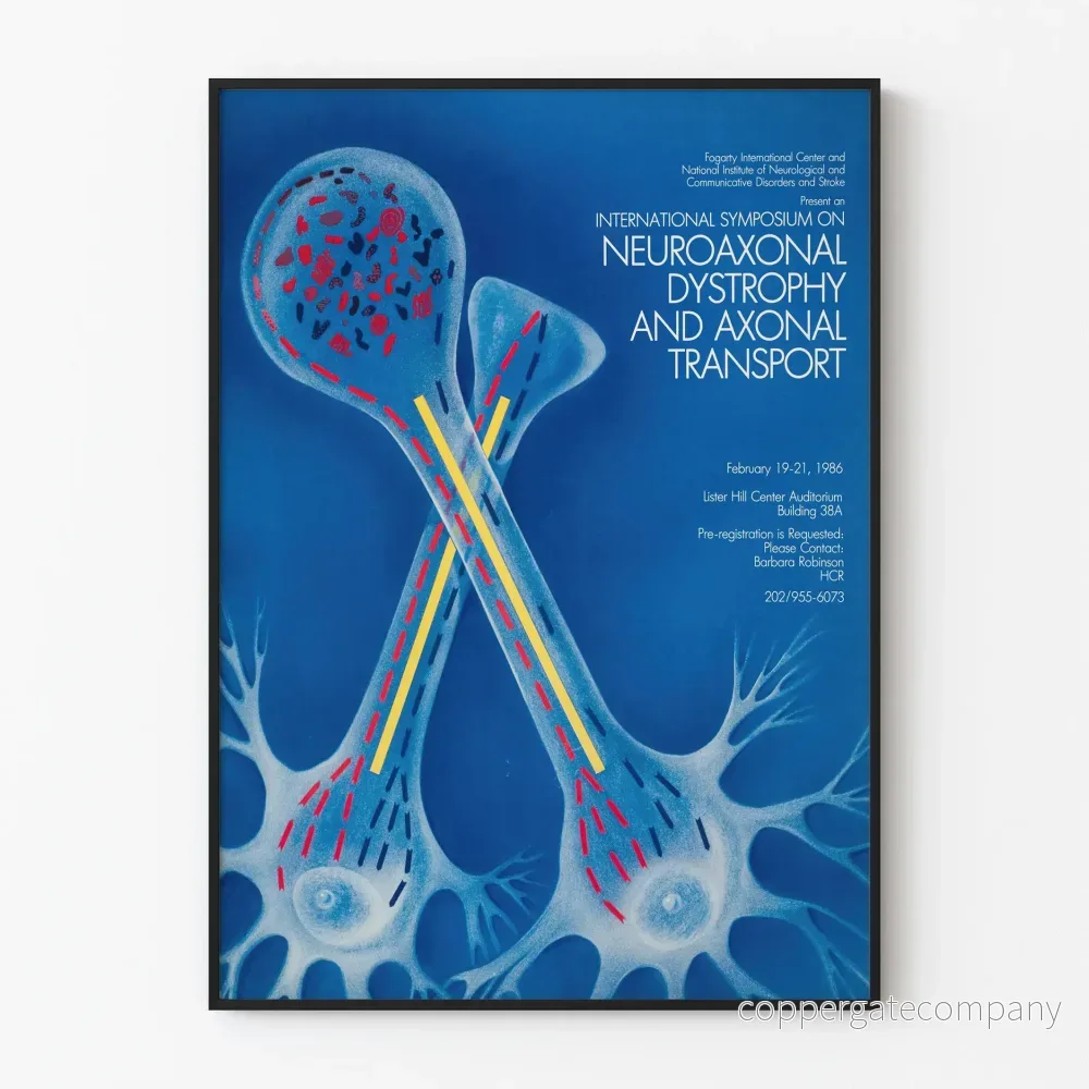 Poster för den Internationella konferensen om neuroaxonala dystrofier och axonal transport