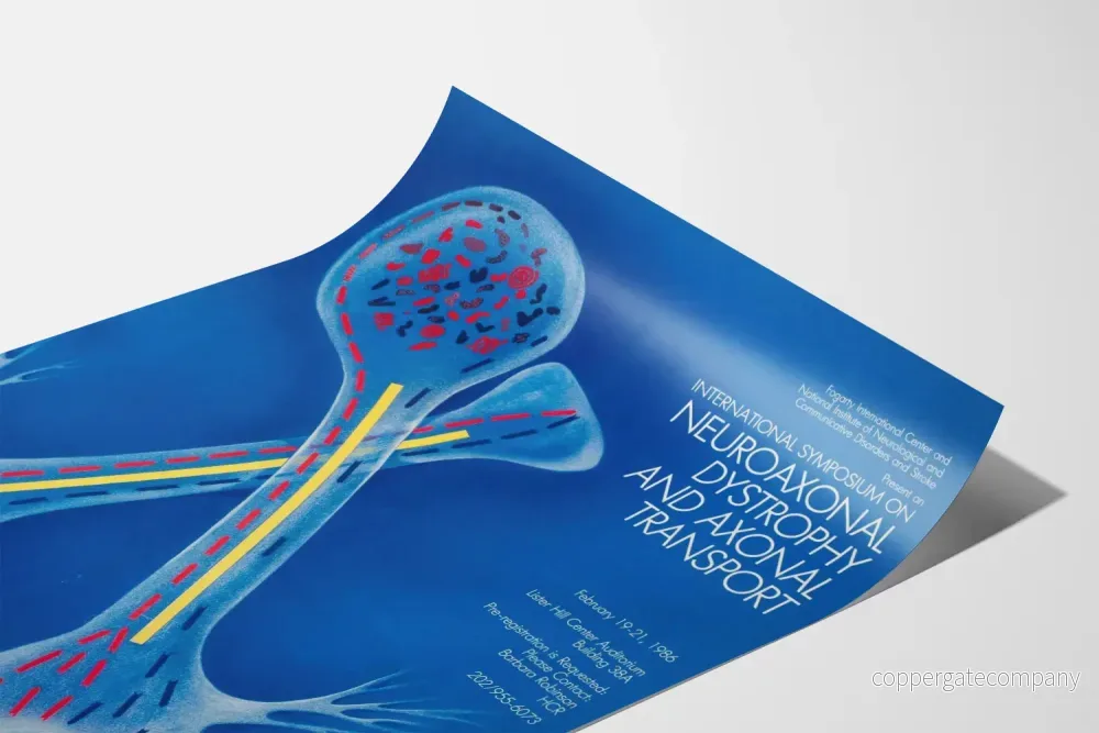 Poster för den Internationella konferensen om neuroaxonala dystrofier och axonal transport - Bild 3