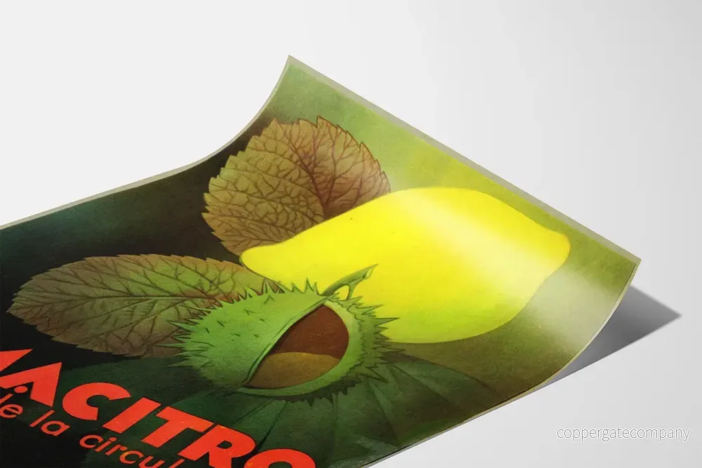 Vintageposter Hamacitro väggdekoration frukt och natur - Bild 3