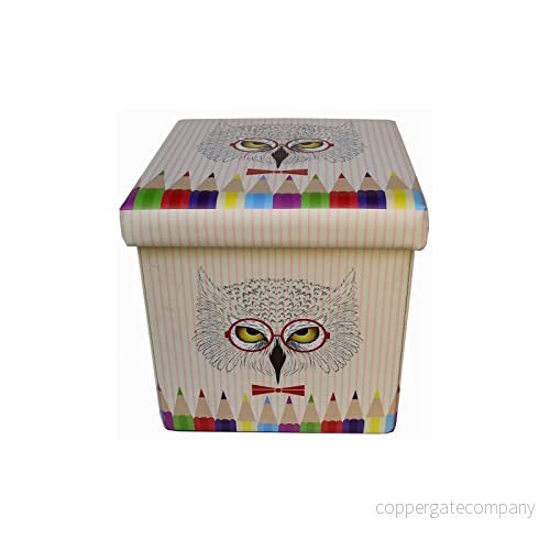Biscottini Pouf behållare för barn och vuxna 33x33 x 33 cm Återförslutningsbara förvaringslådor med lock Fyrkantig påse dekorationer 8057635092278