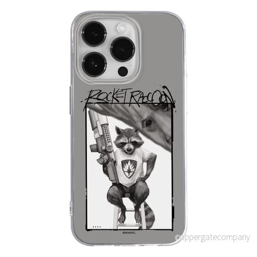 ERT GROUP mobiltelefonfodral för Apple Iphone 14 PRO MAX originalt och officiellt licensierat Marvel mönster Rocket 004 optimalt anpassad till formen på mobiltelefonen, fodral tillverkad av TPU plast 5905131929372