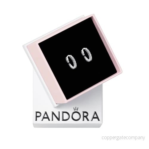 Pandora Timeless dam Örhängen 293015C01 5700303080543