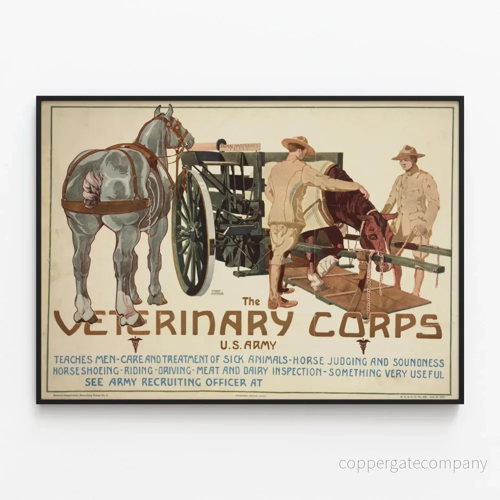 Vintageposter för Veterinärkåren i den Amerikanska armén