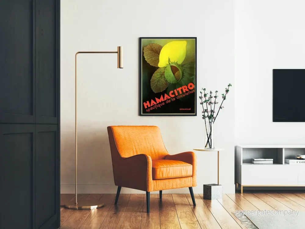 Vintageposter Hamacitro väggdekoration frukt och natur - Bild 2