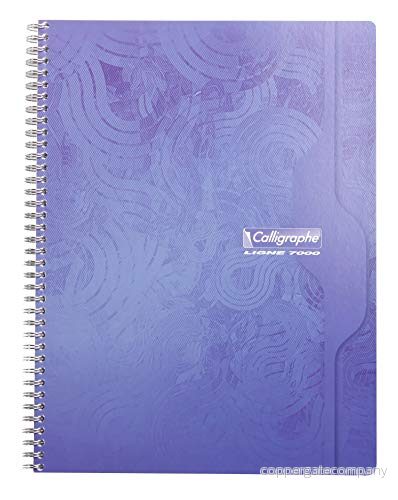 Calligraphe 360Cpack set med 5 spiralanteckningsböcker (ett varumärke av Clairefontaine) 24 x 32 cm 180 sidor stora rutor vitt papper 70 g lackerat återvunnet kortomslag slumpmässiga 3663619050162