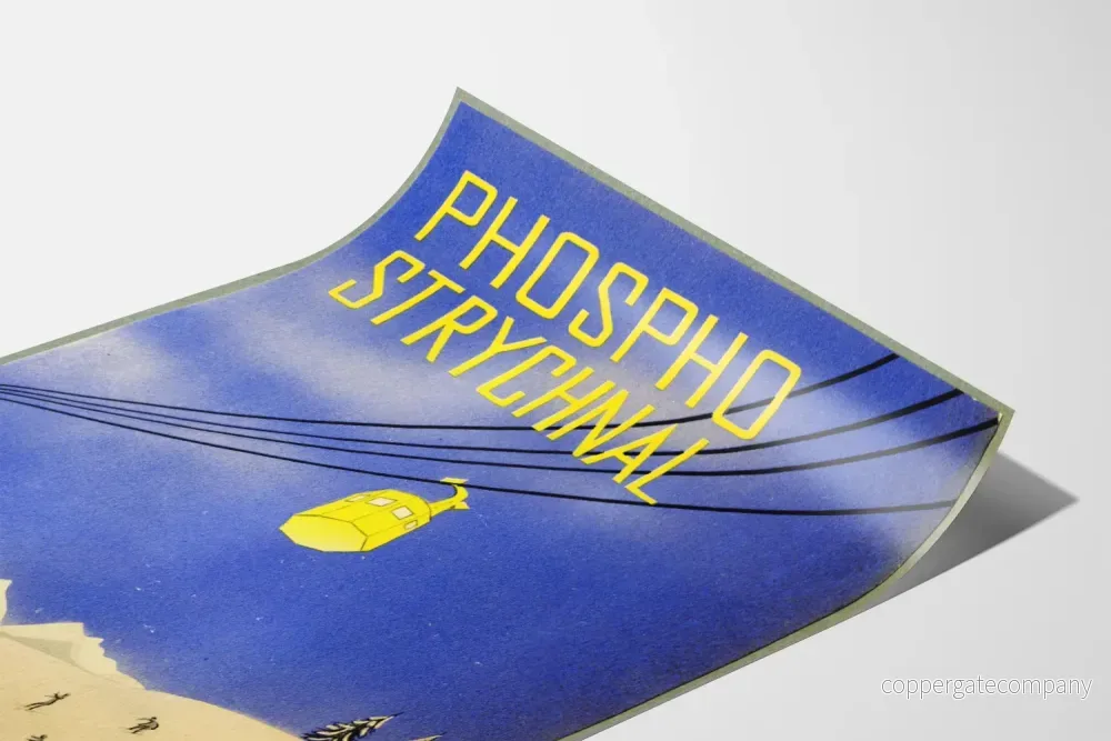Vintageposter Phospho Strychnal Bergbana - Bild 3