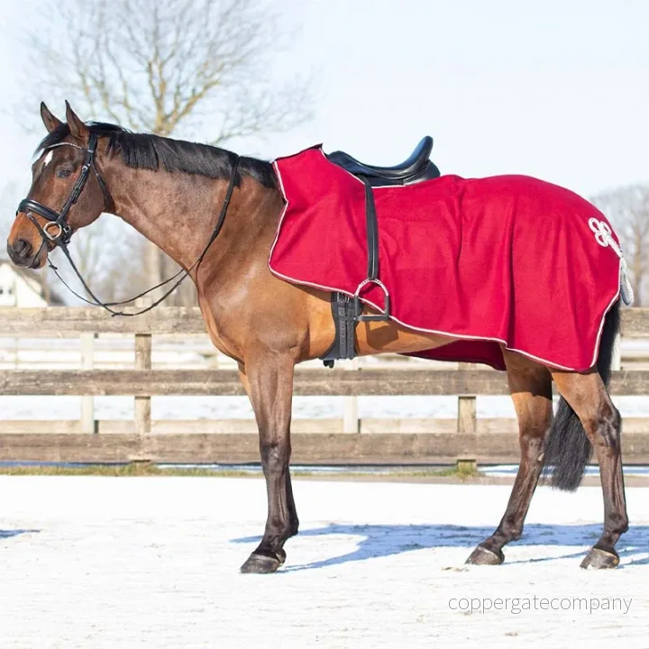 QHP Exercise Rug Fleece Ornament Dark Röd M 8718369190967