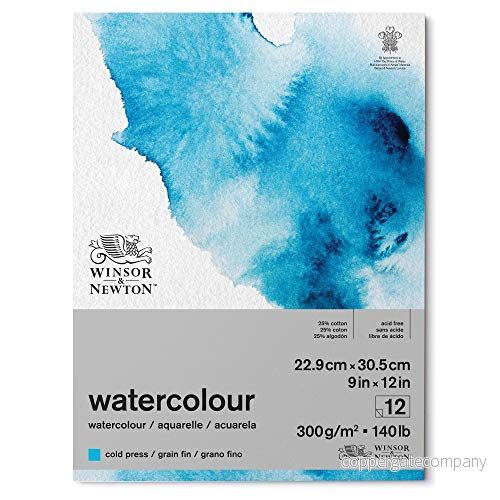 Winsor & Newton 6667002 Classic akvarellpapper i block 12 ark 22,9 x 30,5 cm, 300 g/m², limmad, kallpressat, lätt texturerat vitt papper arkiverbar kvalitet, gulbeständigt 884955076569