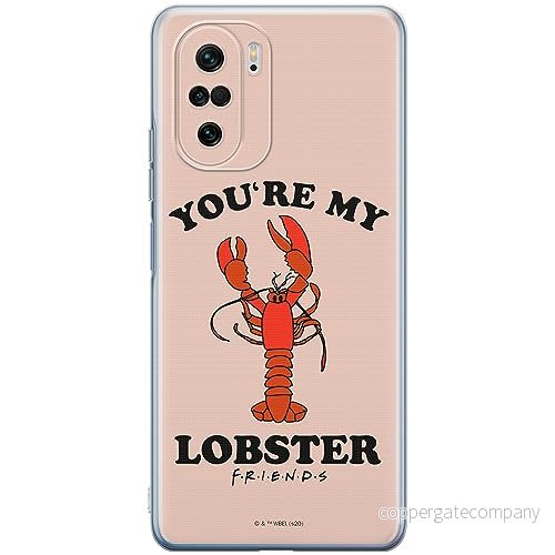 ERT GROUP mobiltelefonfodral för Xiaomi MI 11i/ REDMI K40/K40 PRO/POCO F3/ F3 PRO originalt och officiellt licensierat Friends mönster 007, fodral tillverkad av TPU plast 5905511879648