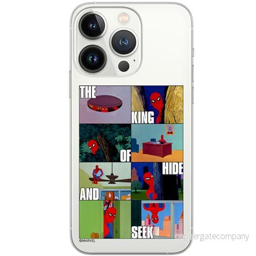 ERT GROUP mobiltelefonfodral för Iphone 13 PRO originalt och officiellt licensierat Marvel mönster Spider Man 031 optimalt anpassad till formen på mobiltelefonen, gedeeltelijk transparant 5905795007645
