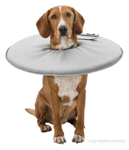 Trixie Protective collar polyester/foam XL: 60 64 cm/29 cm grey 4011905194271