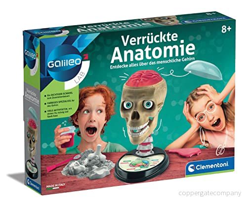 Clementoni 59221 Galileo Lab Galen anatomi modell av mänsklig skalle, komponenter i hjärnan för att upptäcka, medicin och biologi barn från 8 år 8005125592210