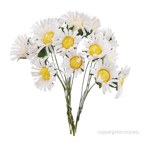 Baker Ross FX956 Daisy plockare 20 pack, utsmyckningar för vårblommor 5063067009664