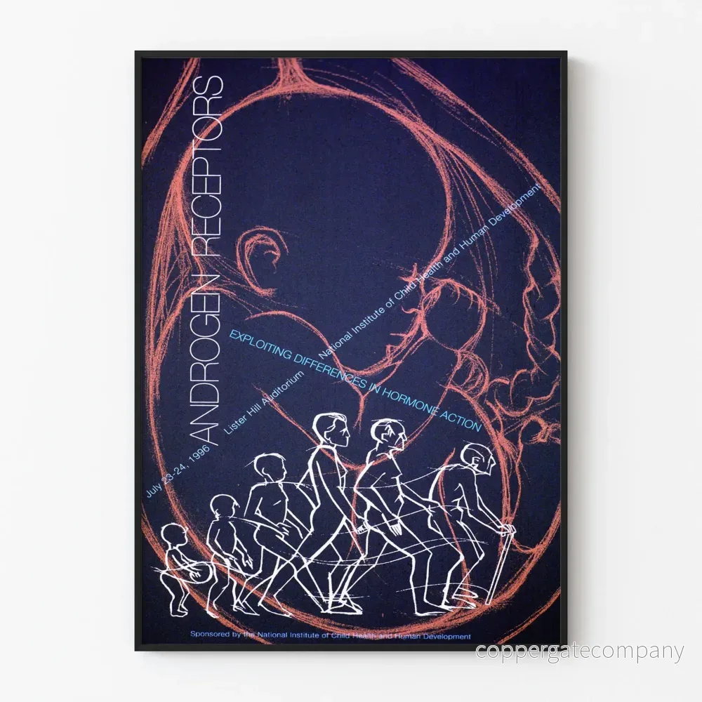 Vetenskaplig poster om androgenreceptorer och mänsklig evolution