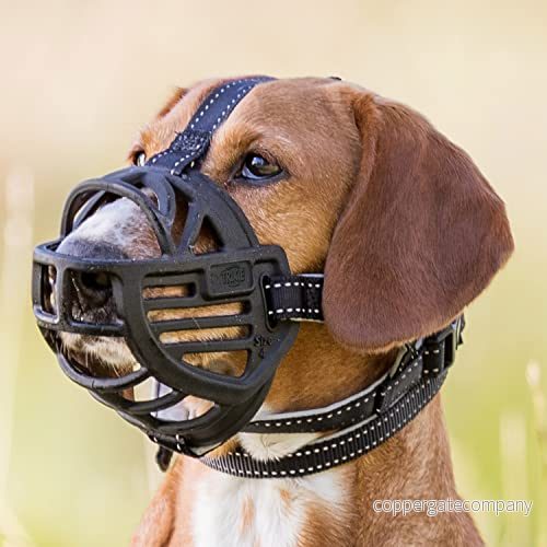 Trixie muzzle Flex rubber L black 4047974176146