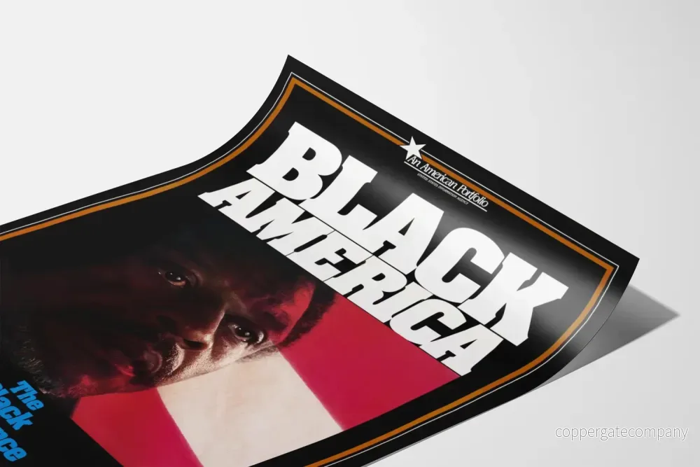 Black America - L'expérience noire aux États-Unis - Bild 3