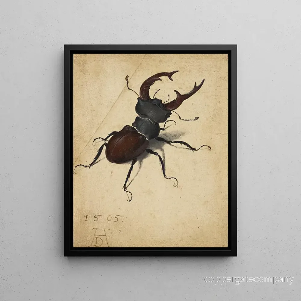 Målning Lucane cerf-volant - Albrecht Dürer | Konsttryck