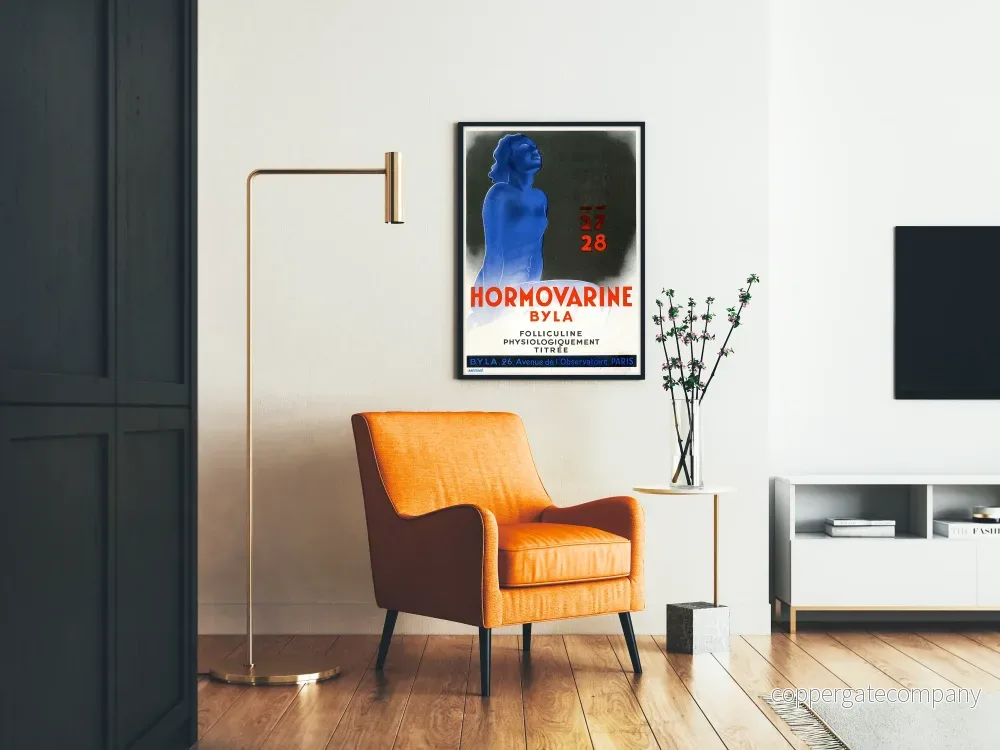 Vintageposter Hormovarine Byla – Retro medicinsk väggdekoration - Bild 2