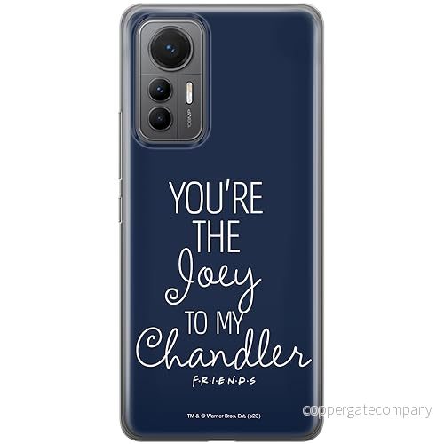 ERT GROUP mobiltelefonfodral för Xiaomi 12 LITE originalt och officiellt licensierat Friends mönster 039 optimalt anpassad till formen på mobiltelefonen, fodral tillverkad av TPU plast 5905795065157