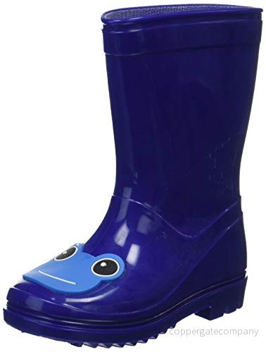 Chicco, Weis känga, Regn boot unisex barn , Blå, 29 8051182139868