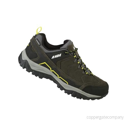 Ande Hiker Low WP, unisex vuxen, vandringsskor, 43 EU, Brun, EU 8051203002478