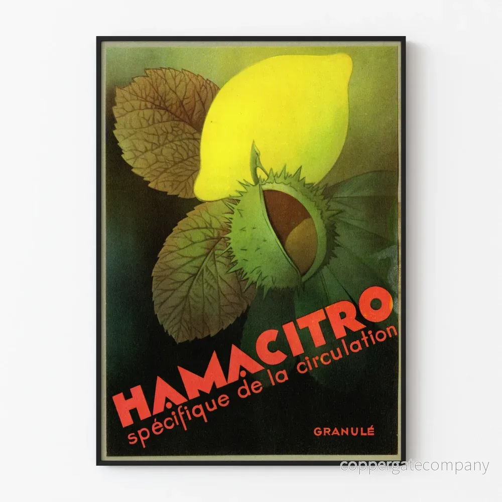 Vintageposter Hamacitro väggdekoration frukt och natur