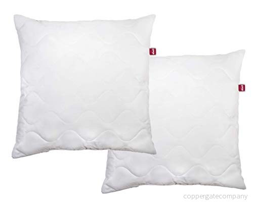 Abeil Set med 2 Volutuous Farm kuddar 60 x 60, tillverkad i Frankrike 3087880031116