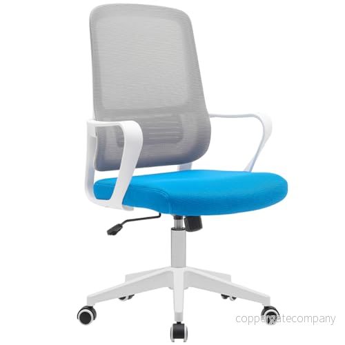 BAKAJI Ergonomisk skrivbordsstol med reptåliga snurrhjul, andningsbart tygryggstöd och ländryggsstöd, studiestolstol för kontor gashöjdjustering 98108 cm (blå grå) 8054143039184