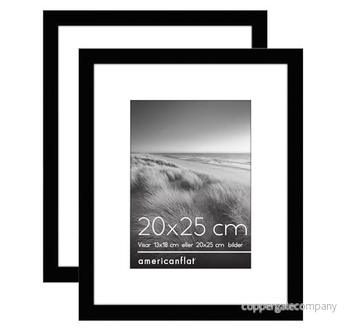 Americanflat 20x25 cm Fotoram med Polerad Plexiglas Set om 2 Använd som 13x18 Ram Passepartout eller Utan Galleria Collection Galleri Ramar Svart 850039096334