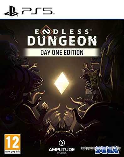 Endless Dungeon Day One Edition (PS5) 5055277043644