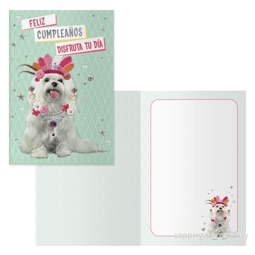 DOHE Grattis på födelsedagen Pack 6 enheter Storlek: 11,5x17 cm (stängd) Inkluderar kuvert för att förvara kortet Doggy style modell 8421938700572