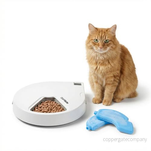 Petmate C500 Auto Feeder with Digital Timer 35368003653