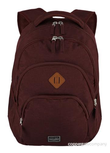Travelite Unisex basic ryggsäck melange bagage handbagage (1 pack), Bordeaux (vinröd), 22 Liter (15.6 Zoll laptop), 4027002077065