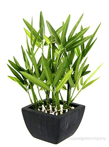 Bambu växt konstgjord i skål med dekorativa stenar bambugräs citrongräs grön konstträd krukväxt bambuväxt bambuträd buske asiatiska gräs buskar 4019844789404