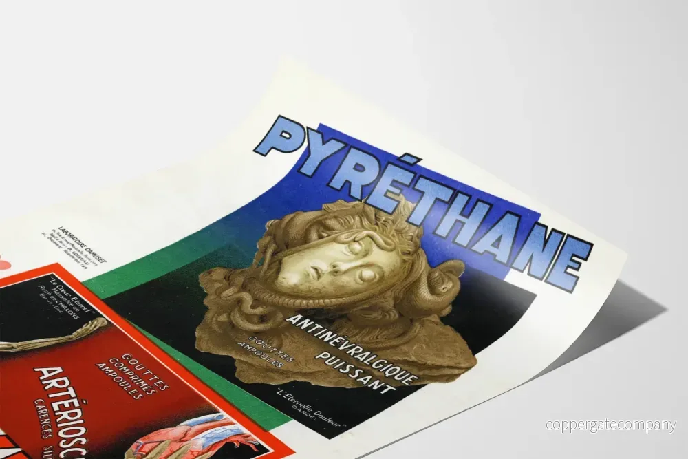 Vintage reklamposter för Pyréthane Silicyl smärtstillande och åderförkalkning - Bild 3