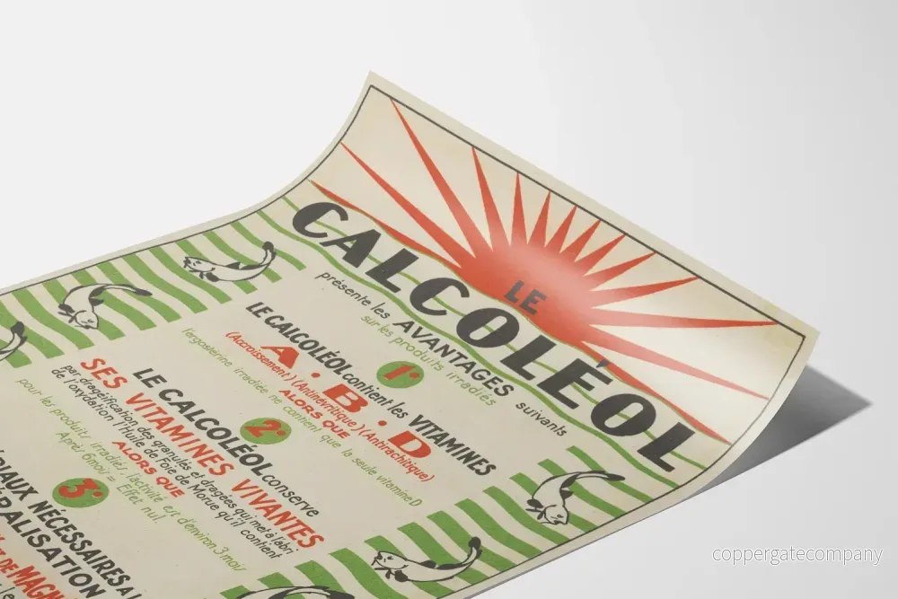 Vintageaffisch Le Calcoléol, vetenskaplig och näringsmässig dekorativ poster - Bild 3