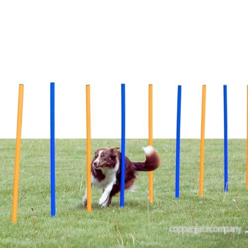 Trixie Fun Agility slalom plastic ø 3 x 115 cm 12 pcs. blue/orange 4011905032061